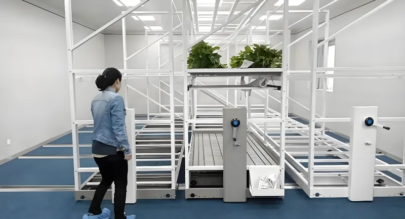自動化されたラックとコンベア上の植物が並ぶ近代的な植物保管施設に立つ人。