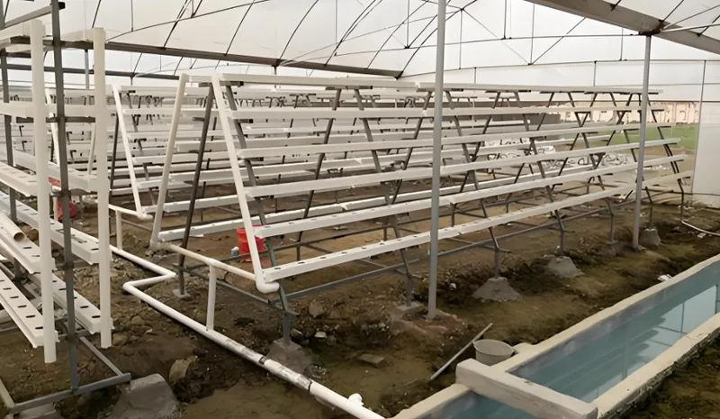 植物栽培用のパイプが何段にもなった水耕栽培システムを示す温室内部