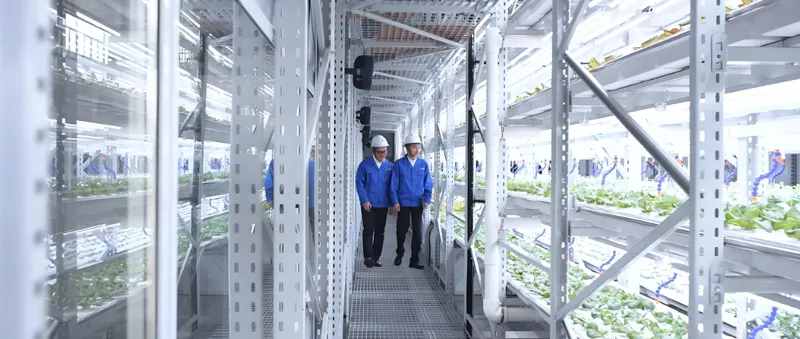 青いジャケットにヘルメット姿の2人の作業員が、何列もの植物が並ぶ屋内の水耕栽培農場を歩いている。