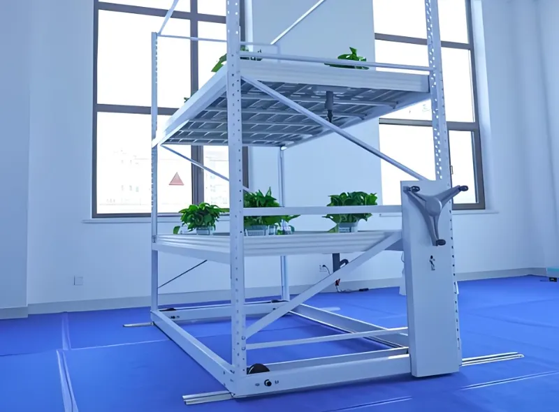 明るい部屋に鉢植えを並べた多段の室内用観葉植物ラック