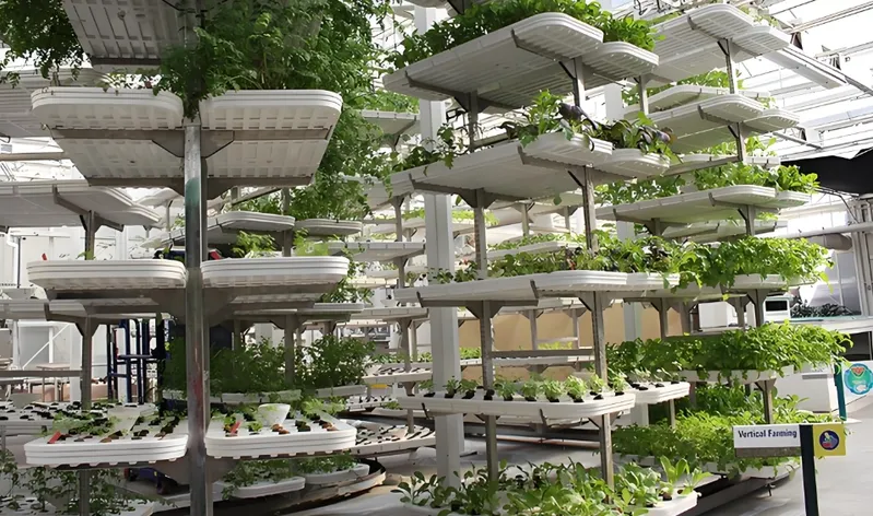 室内で複数の植物を栽培する垂直農法のセットアップ