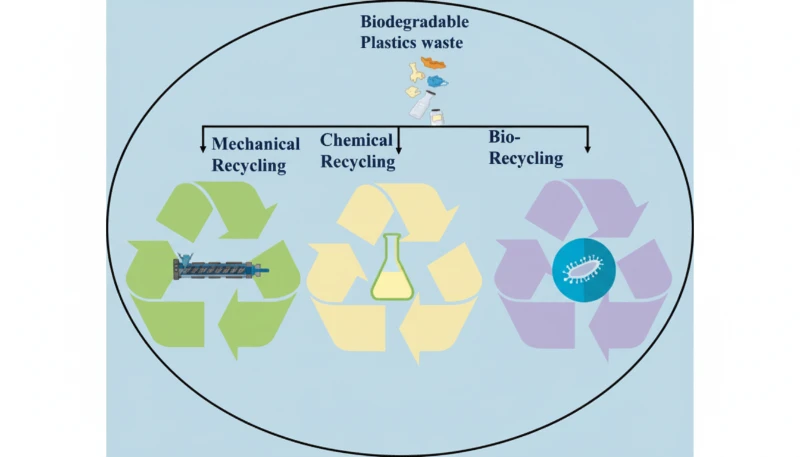 Biodegradable and Recycled Plastics
