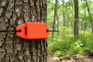 Orange box attached to a tree trunk in a forest, surrounded by greenery.